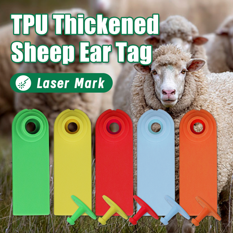 Livestock Ear Tag - 100 Stuks Schapen Geit Oormerken Geen