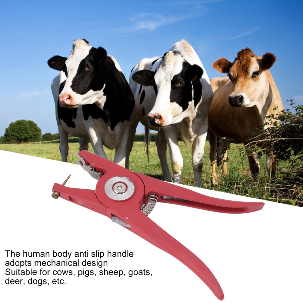 Legering vee-oormerktang Rood  - Livestock Ear Tag recensie en prijs
