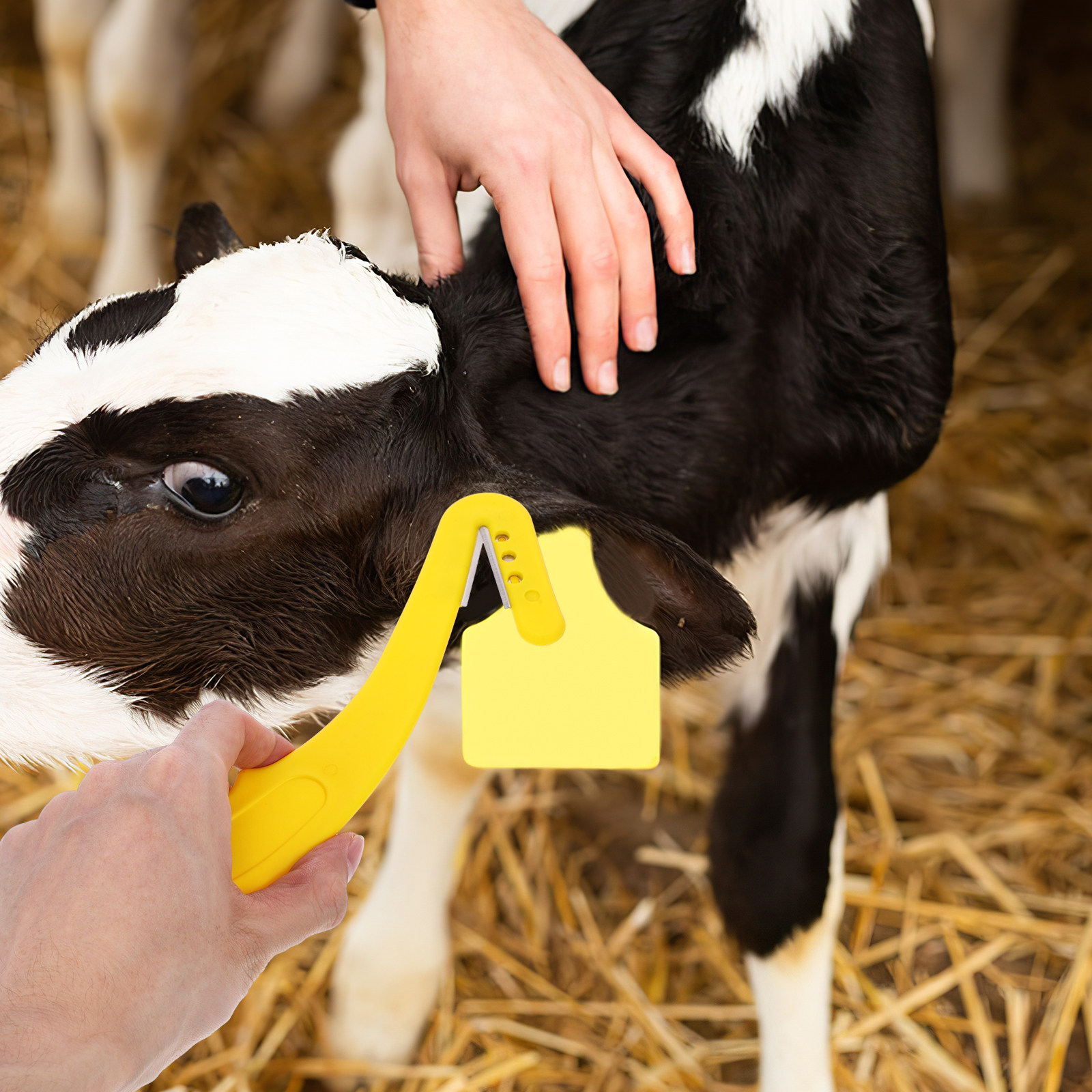 Set van 2 stevige plastic oorm - Livestock Ear Tag recensie en prijs